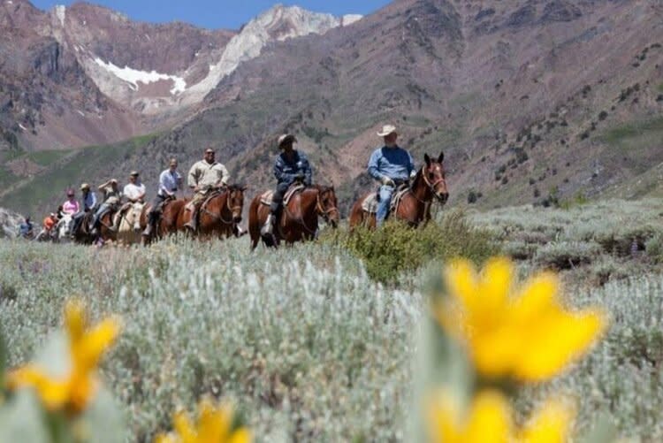 McGee Creek Pack Station