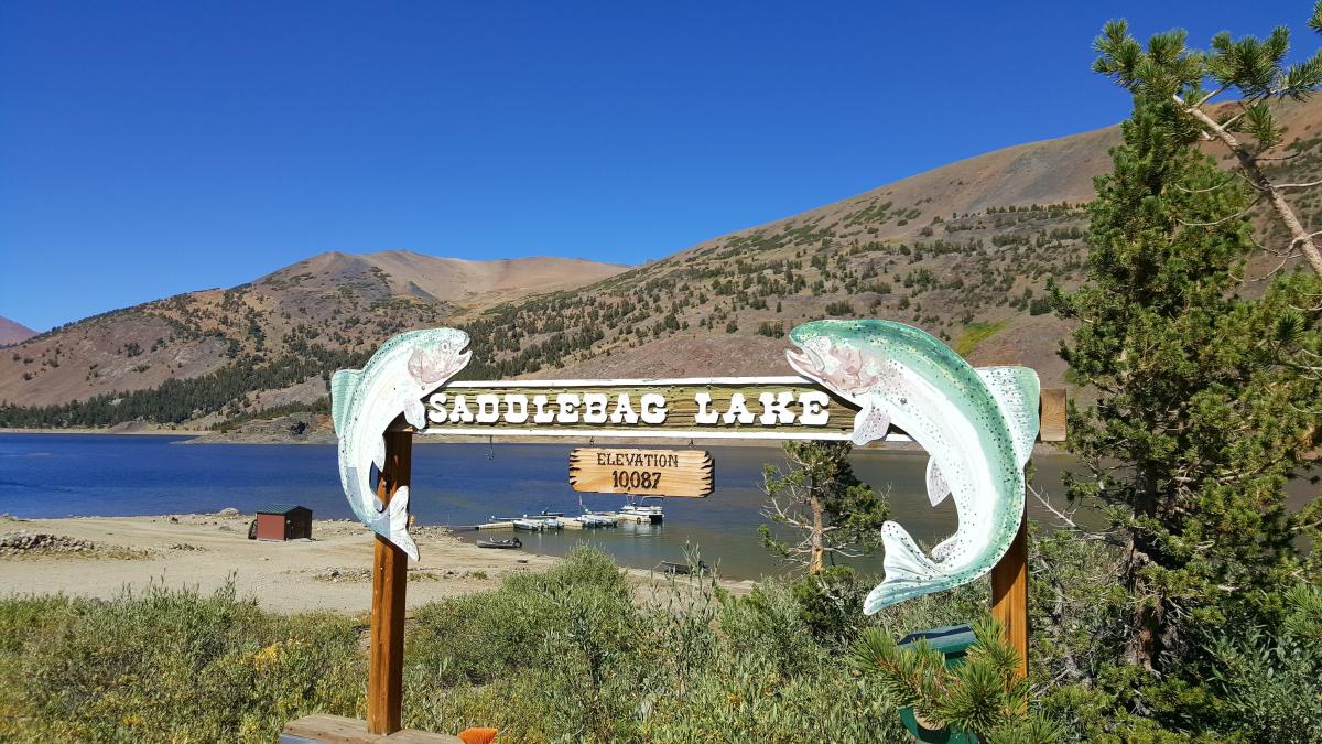 Saddlebag Lake Trail