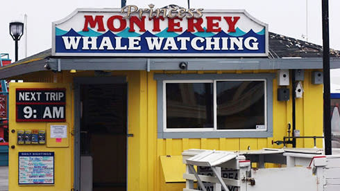 Save $5 with Princess Monterey Whale Watching