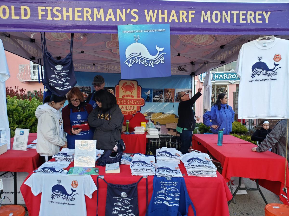 11th Annual Whalefest Monterey