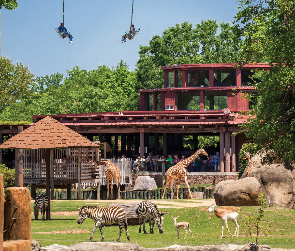 zoo safari park montgomery al