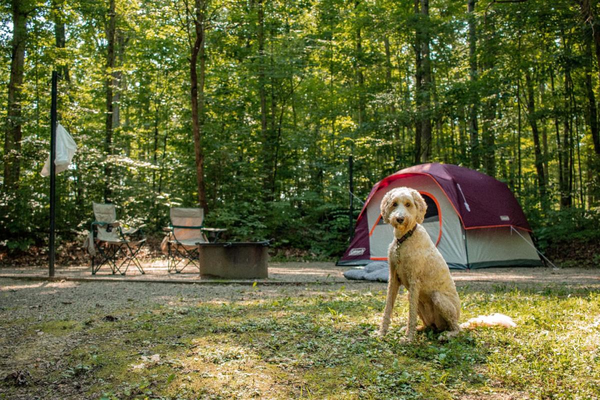 Twin Knobs Campground