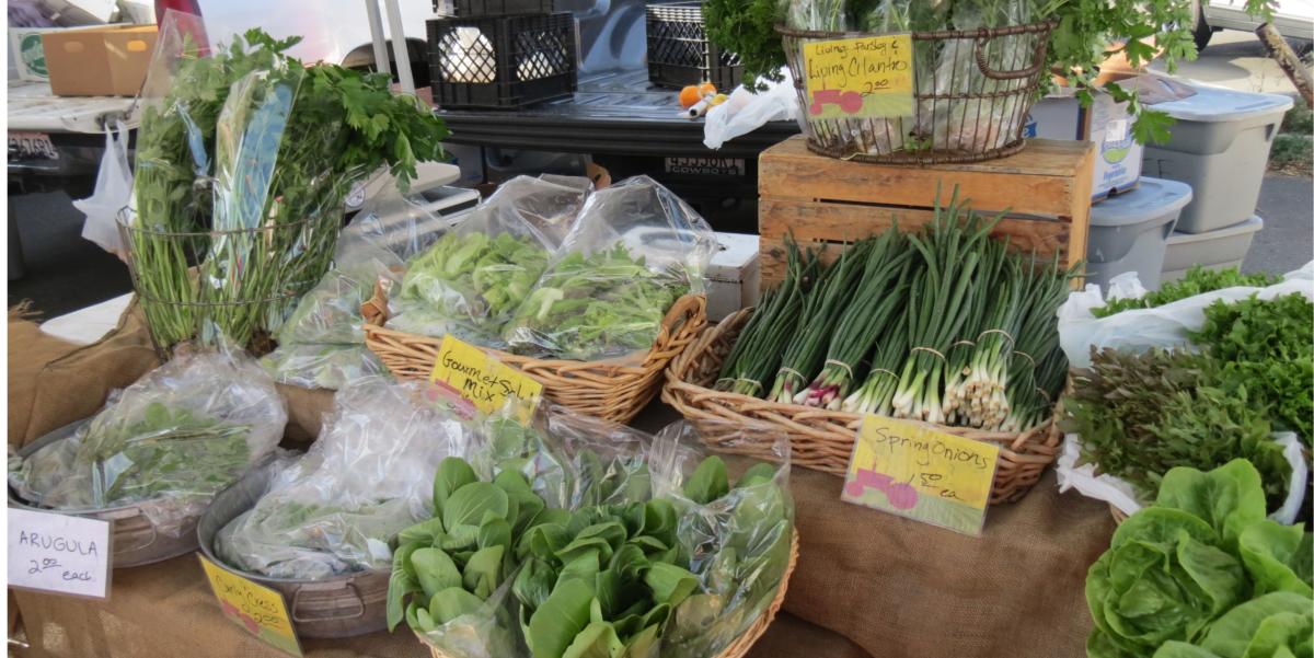 Thursday Morro Bay Farmer S Market