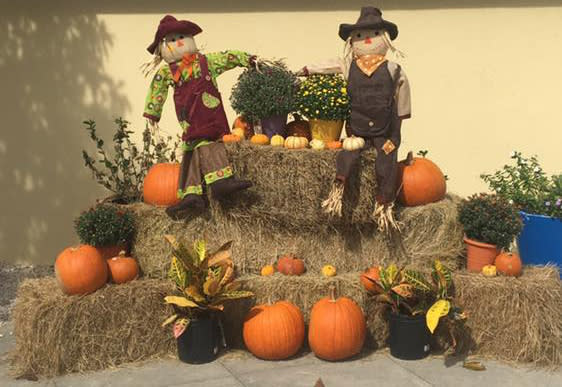 Thanksgiving Dinner At Just Off Main At Avista Resort