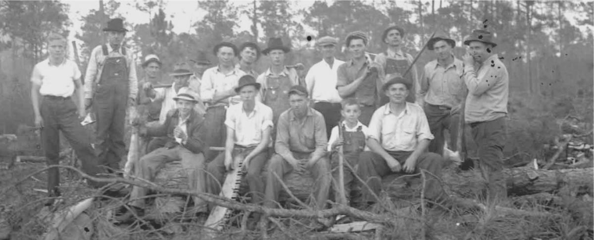 Woodcutting Day at the L.W. Paul Living History Farm