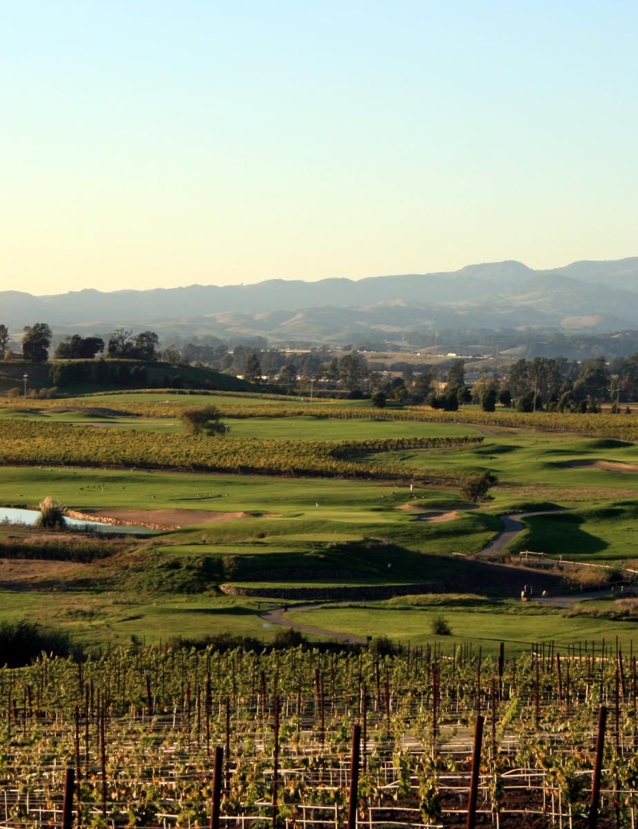 The View Bar and Grill at Chardonnay Golf Club Napa, CA 94558