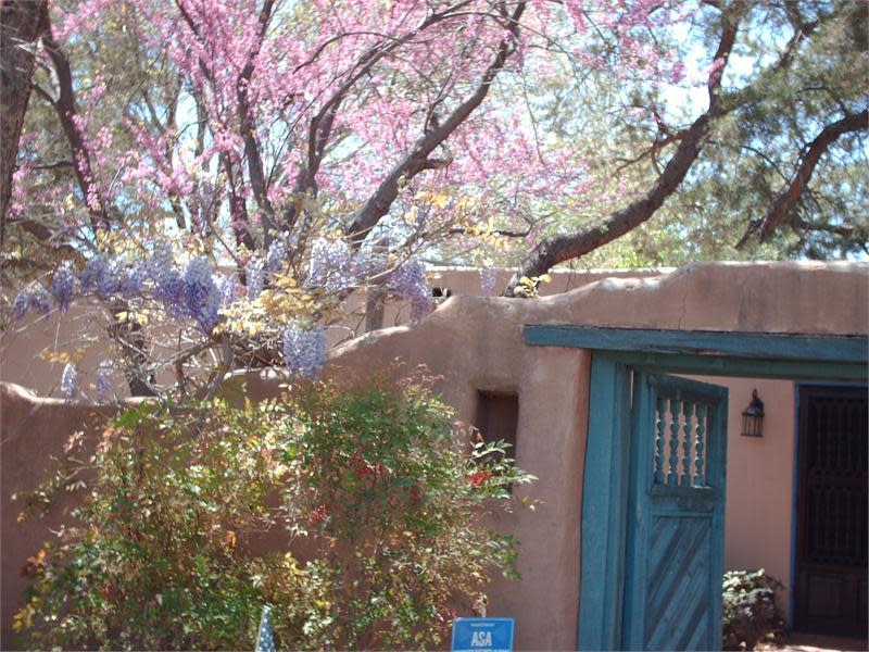 Sandhill Crane Bed and Breakfast Corrales, NM 87048