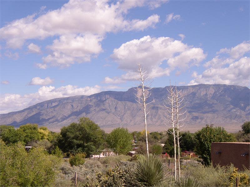 Chocolate Turtle Bed and Breakfast