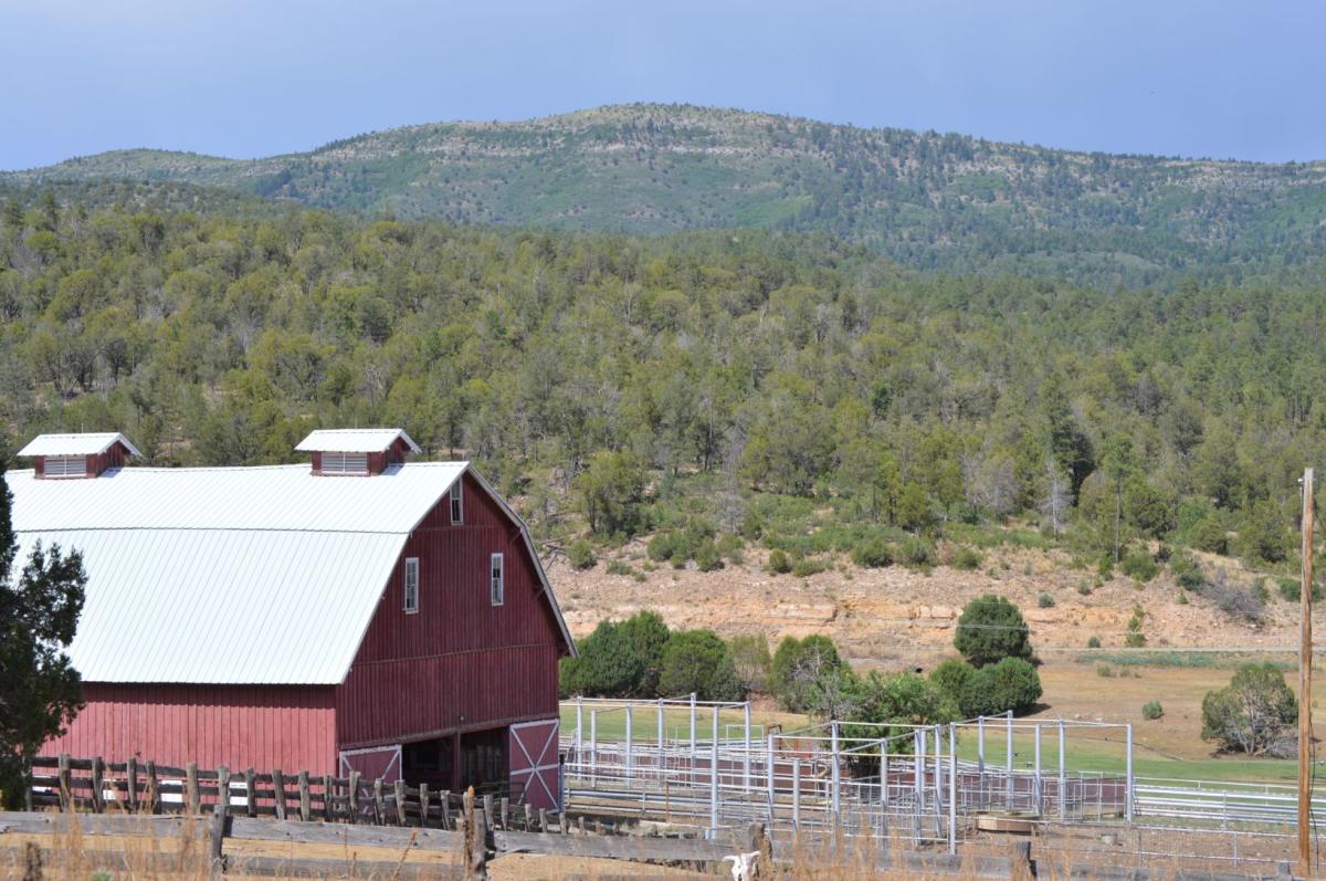 Circle Cross RV Park TIMBERON, NM 88350