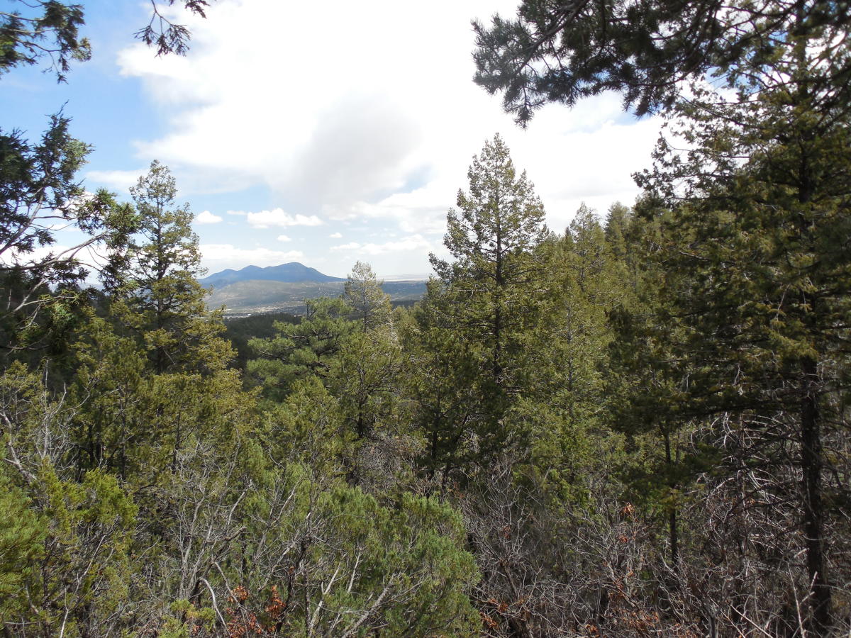 Manzano Mountains State Park Mountainair, NM 87045