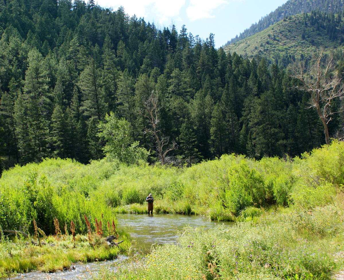 Cimarron Canyon State Park