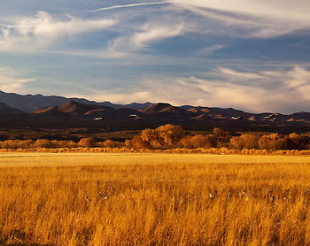 High Mesa Productions