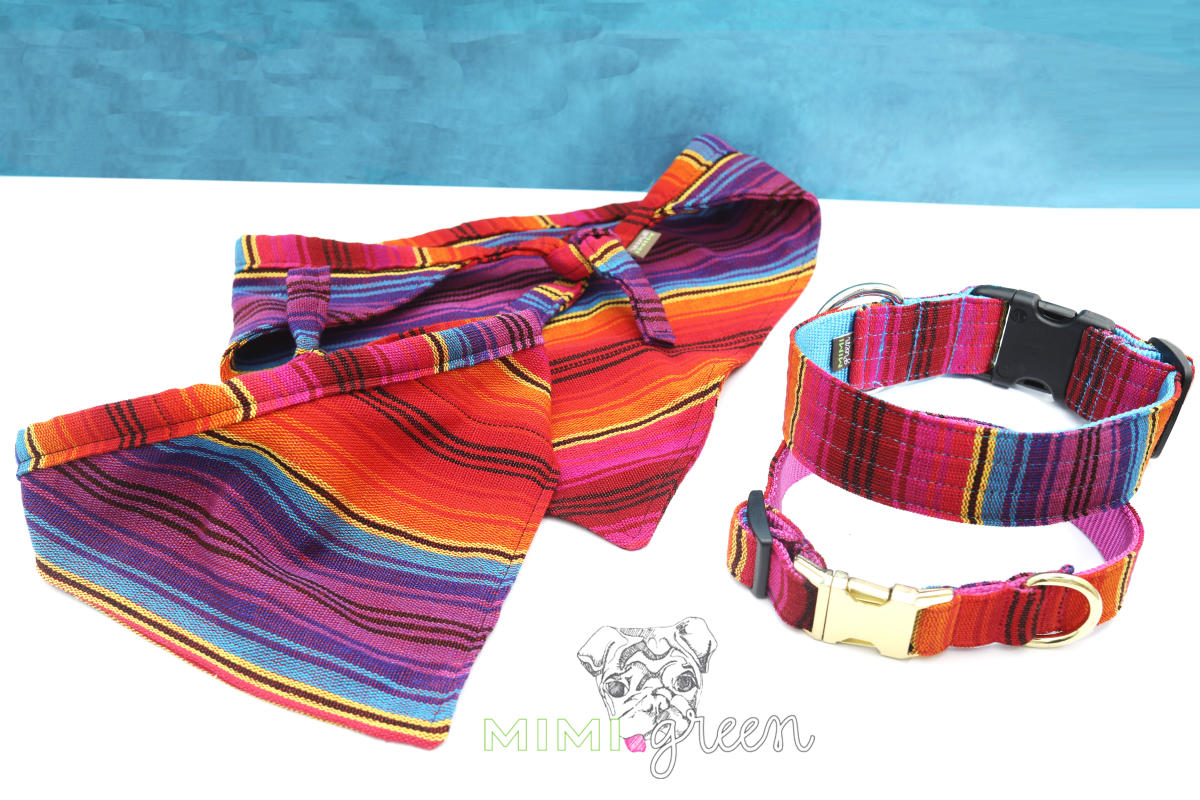 Mimi Green Dog Collars Albuquerque, NM 87106