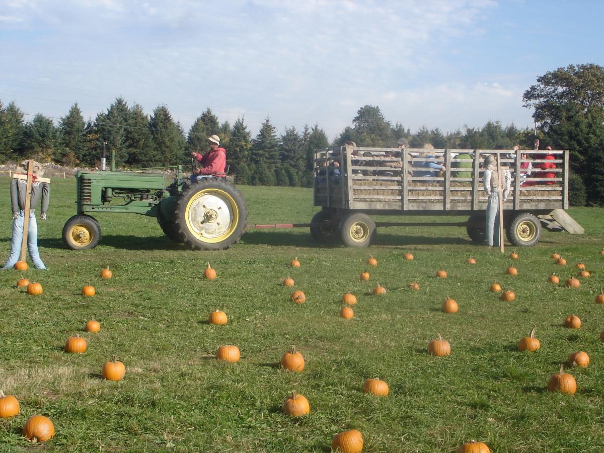Pachet Brook Farm Tiverton, RI Discover Newport