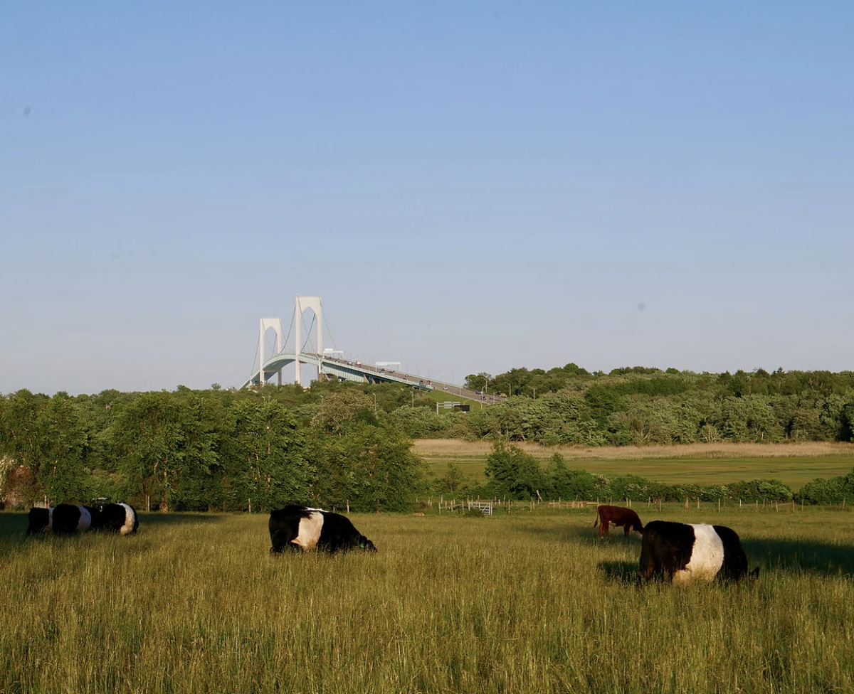 Windmist Farm Jamestown, RI Discover Newport