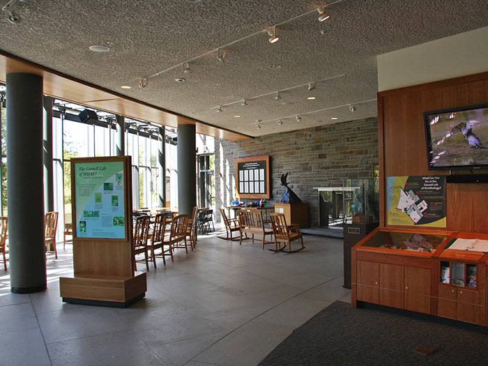 Cornell University Lab of Ornithology / Sapsucker Woods Sanctuary
