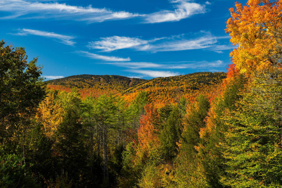 Gore Mountain North Creek, NY 12853
