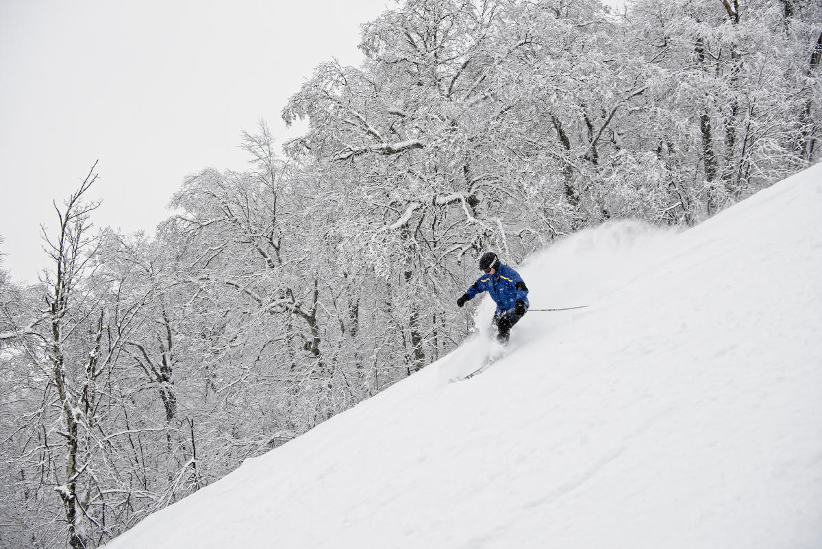 Belleayre Mountain Highmount, NY 12441