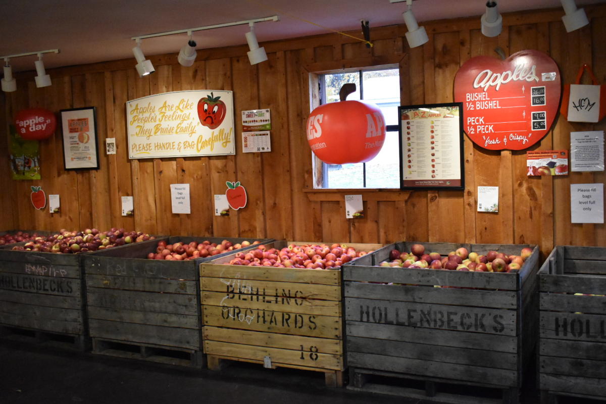 Hollenbeck's Cider Mill Virgil, NY 13045