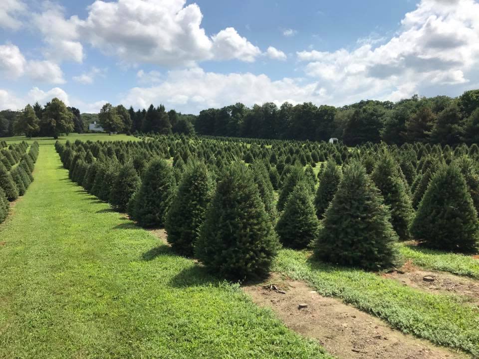 Evergreen Farm Wassaic, NY 12592