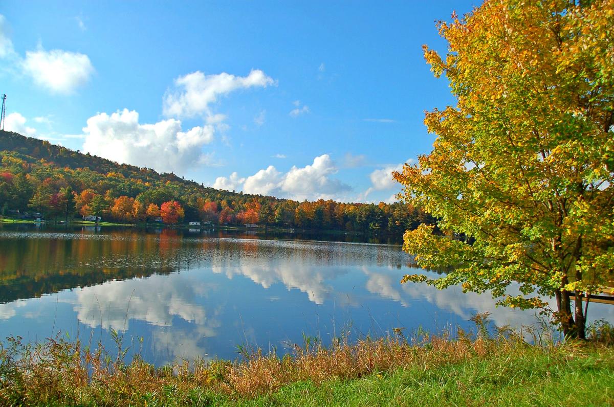 Forest Lake Campground Truxton, NY 13158