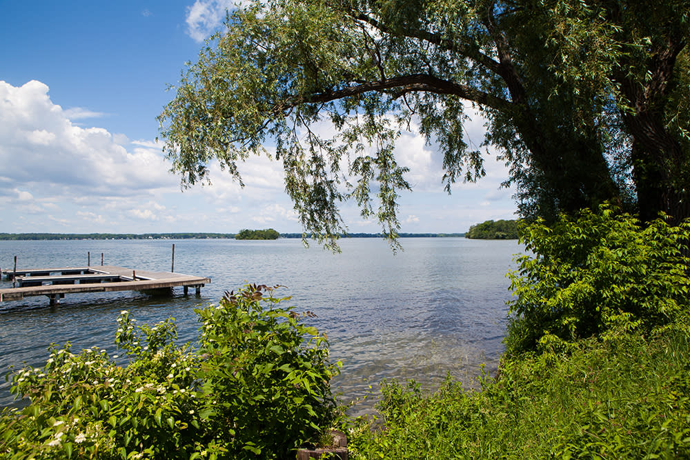 Cayuga Lake Cayuga, NY 13034