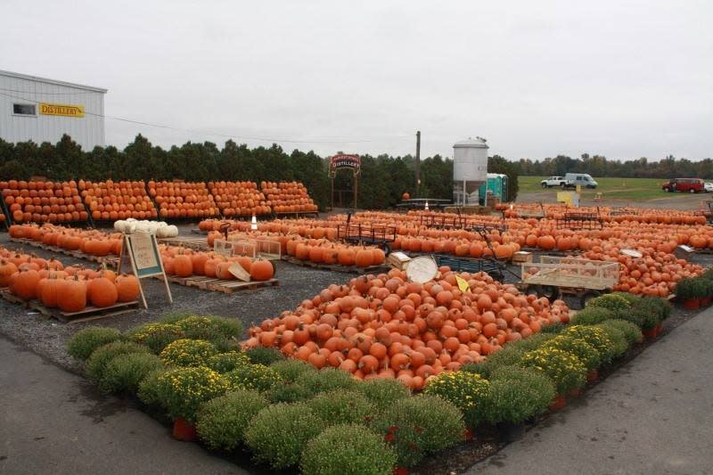 Golden Harvest Farms Valatie, NY 12184