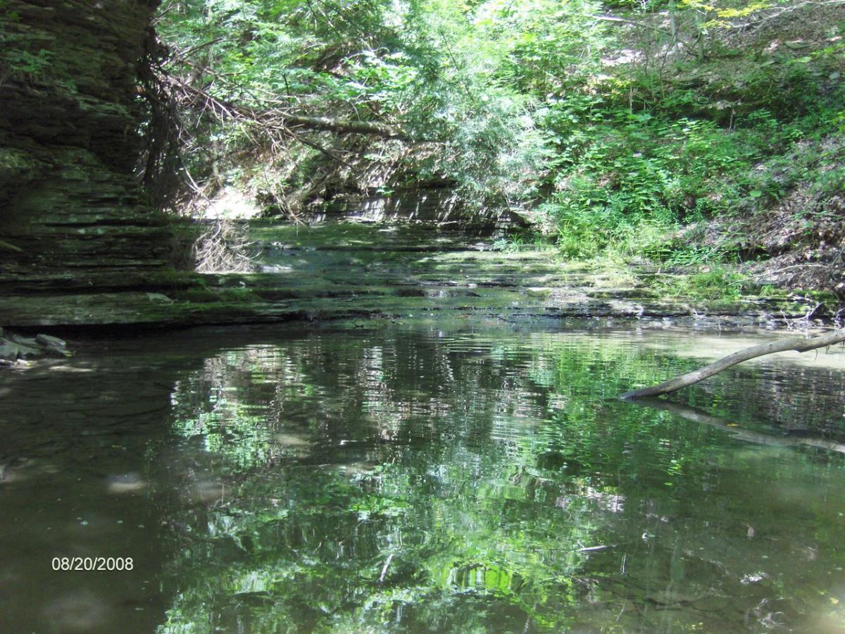 Connecticut Hill State Wildlife Management Area | Alpine, NY 14805