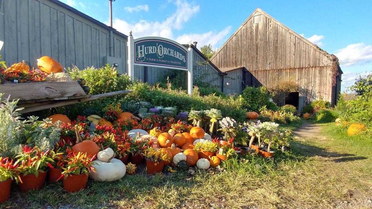 Hurd Orchards Holley, NY 14470