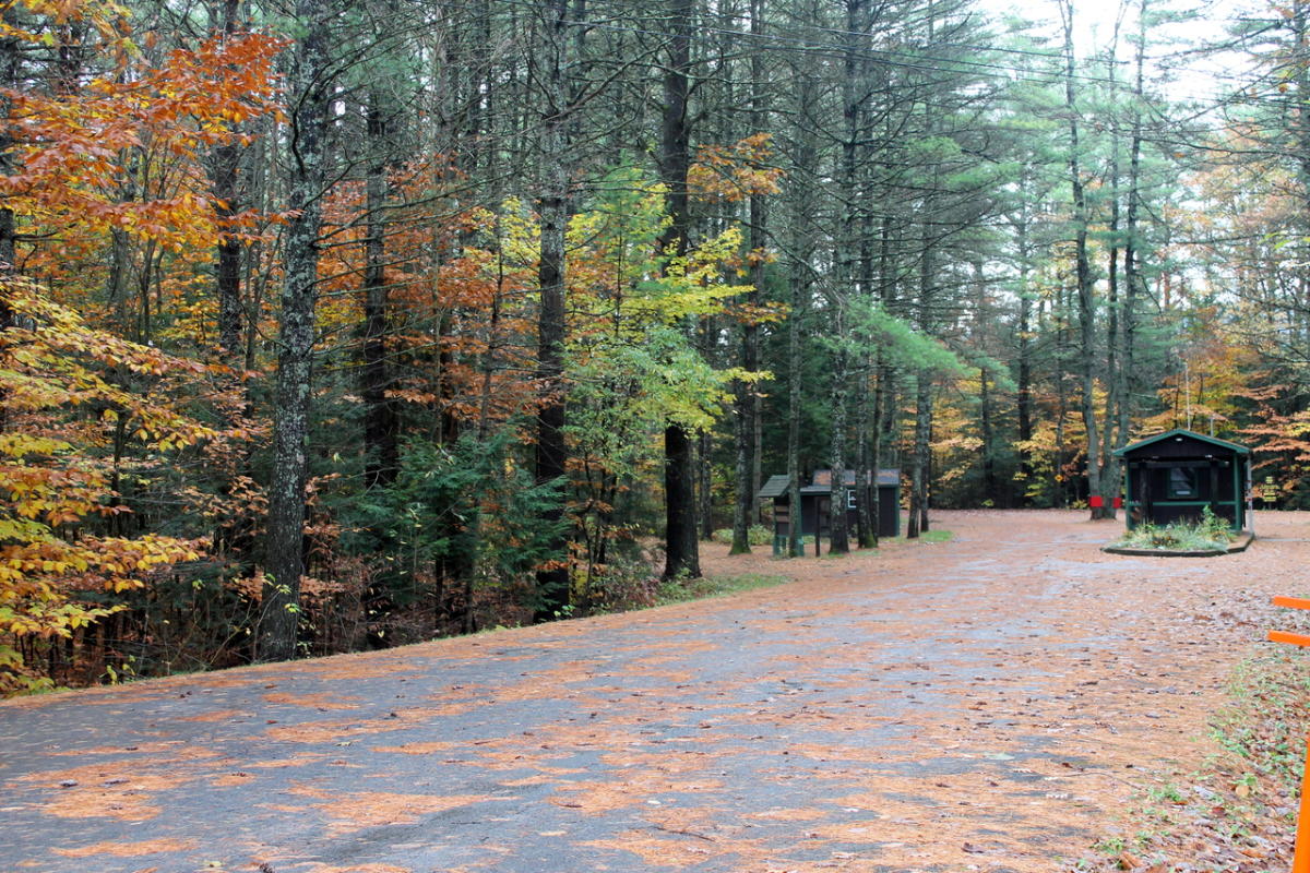 Luzerne State Campground Lake Luzerne, NY 12846