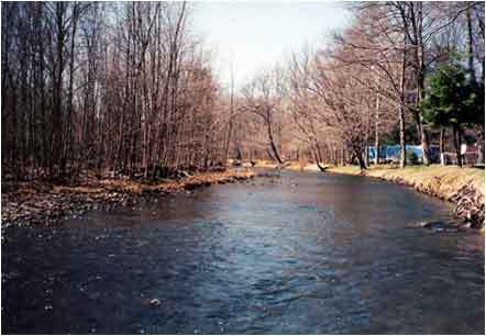 Neversink River Campground Woodbourne Ny 12788
