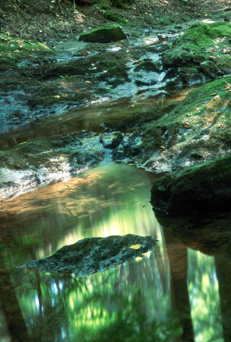 The Nature Conservancy Pawling Ny 12564