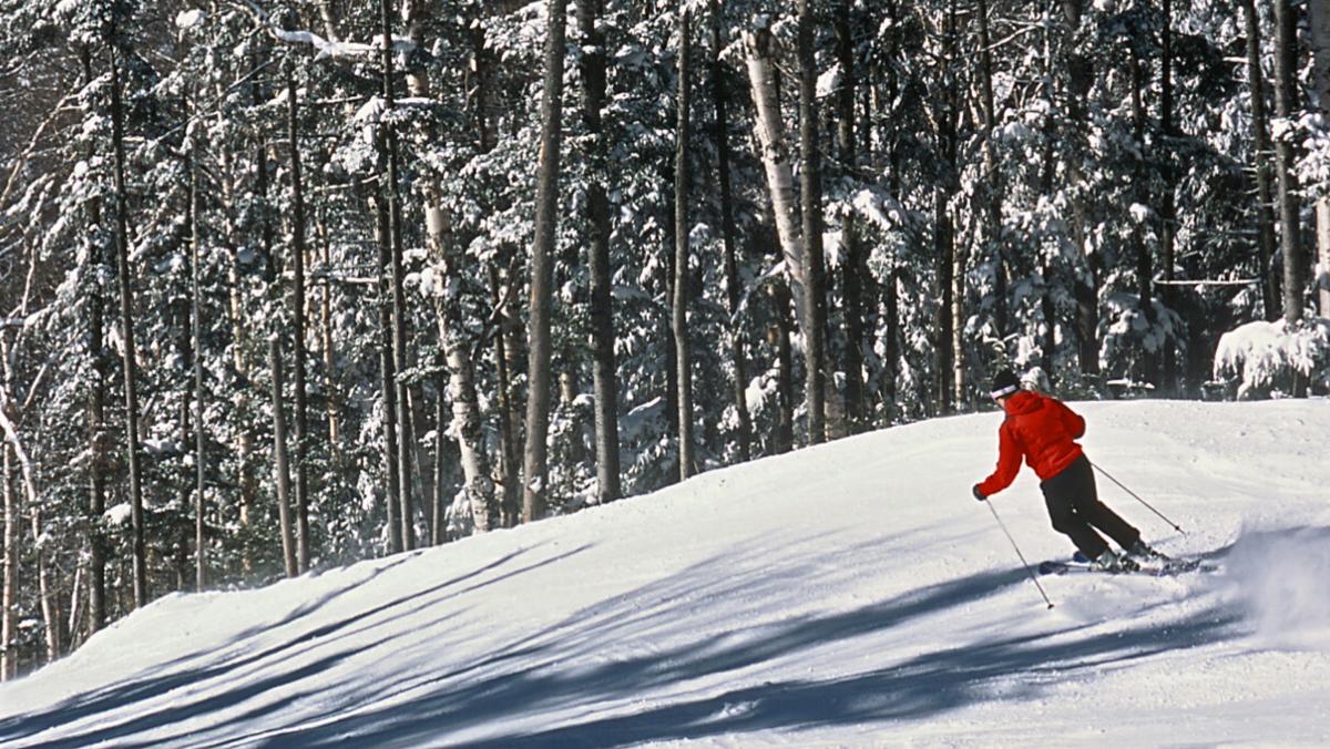 Gore Mountain | North Creek, NY 12853