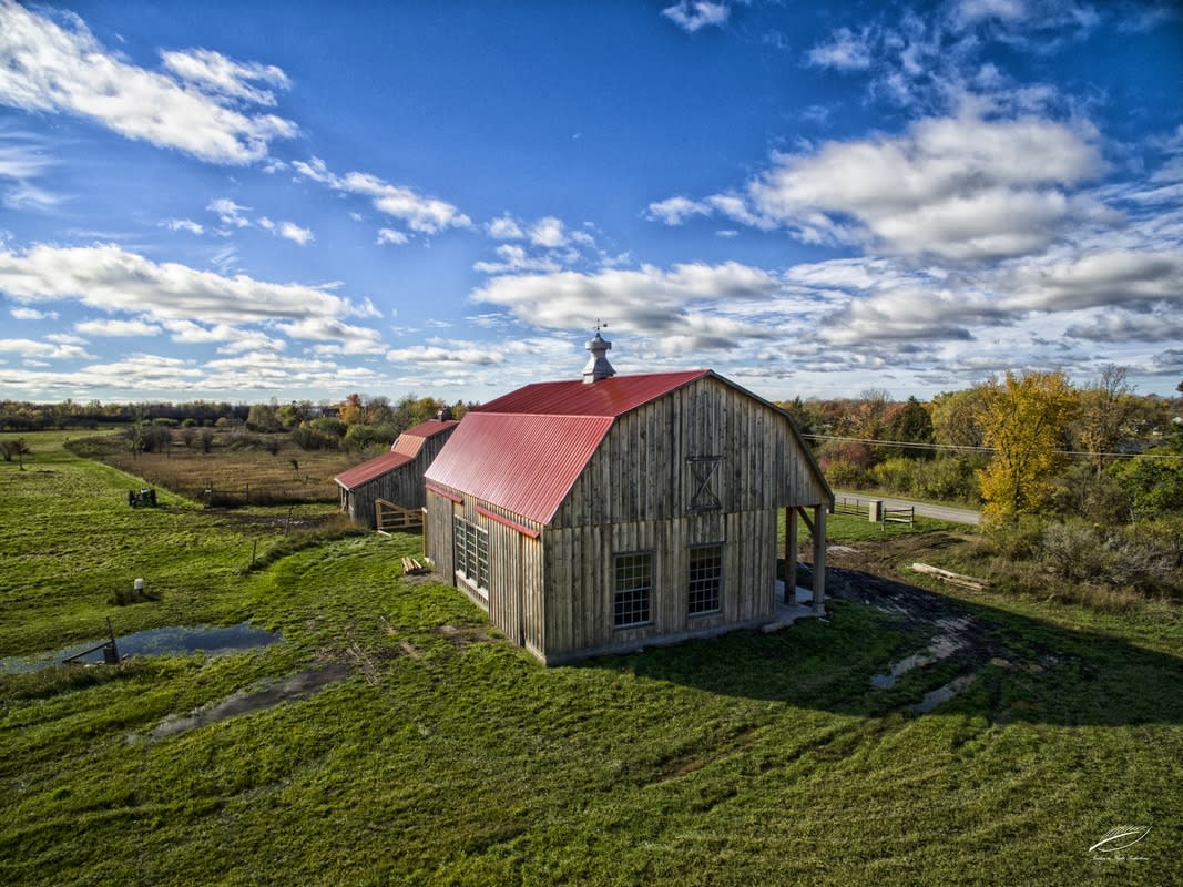 White Caps Winery Chaumont, NY 13622