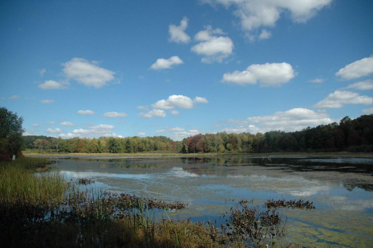 Beaver Meadow Audubon Center North Java, NY 14113