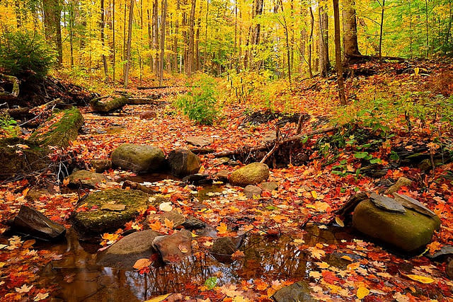 Emery Park | South Wales, NY 14139