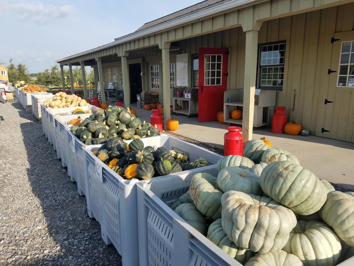 Navarino Orchards & Country Store LaFayette, NY 13215
