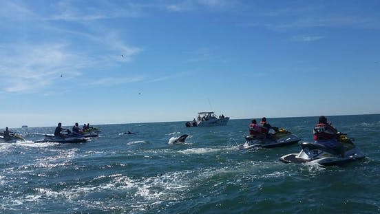 Myrtle Beach Watersports Inc