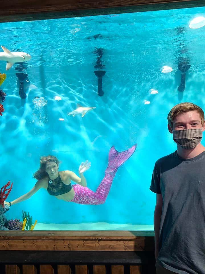 Mermaid show at Blue Zoo