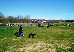 facts about dog parks