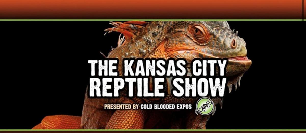 KC Reptile Show