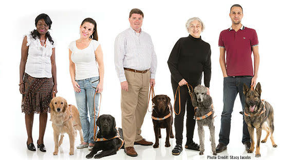Guide Dogs of the Desert