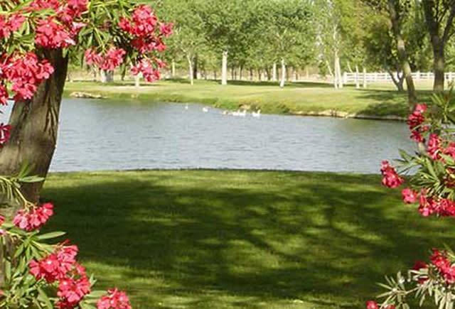Silver Saddle Ranch Resort Club