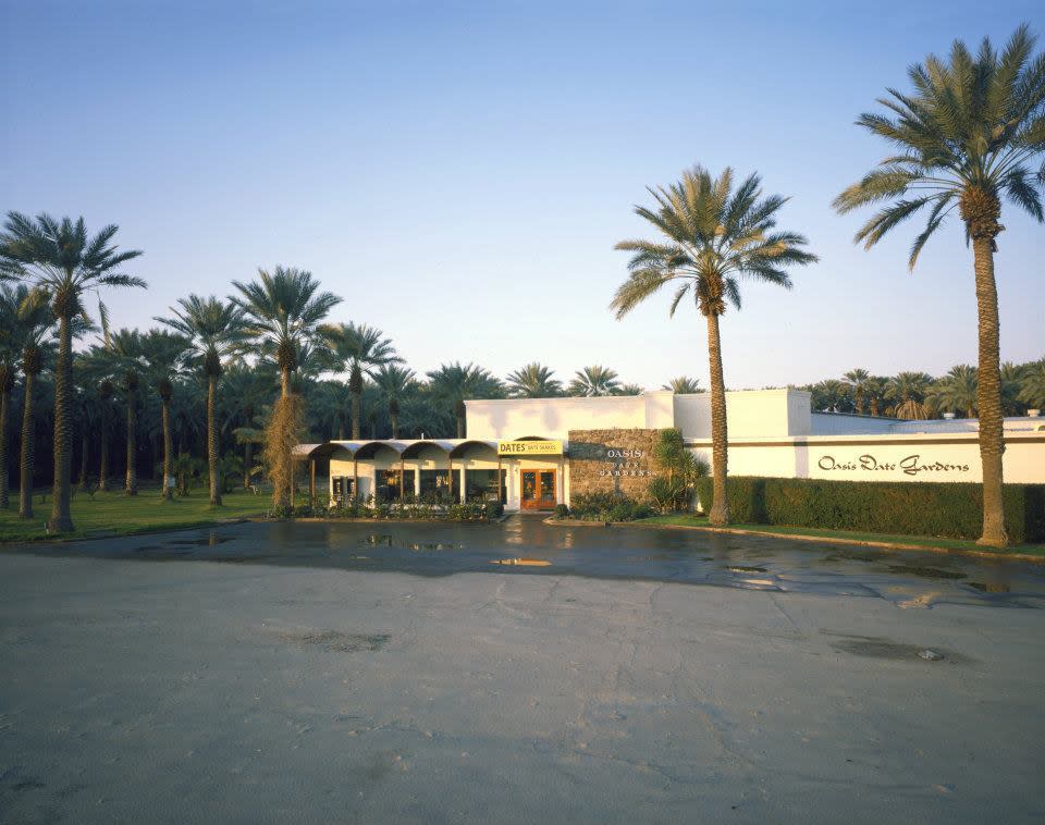 Oasis Date Gardens