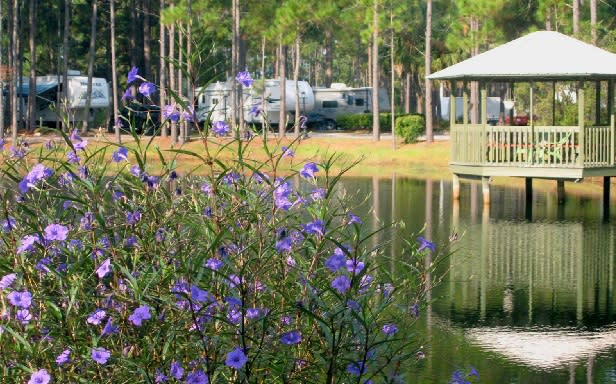 Pineglen Motorcoach Rv Park Panama City Beach Fl 32407