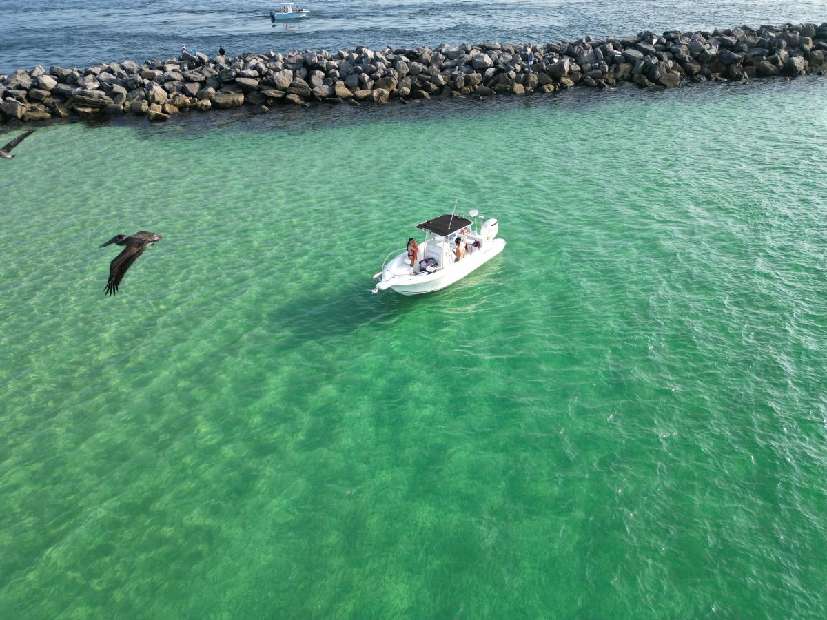 Salty fins Dolphin & Snorkeling tours Panama City beach, FL 32408