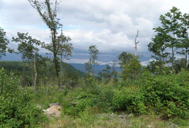 Pennsylvania State Game Lands 106 Trails