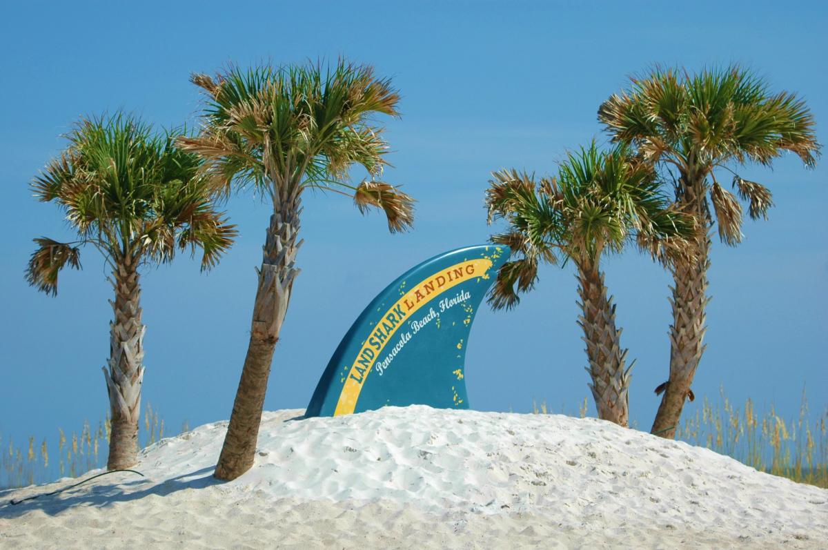 Margaritaville S 9th Birthday Bash