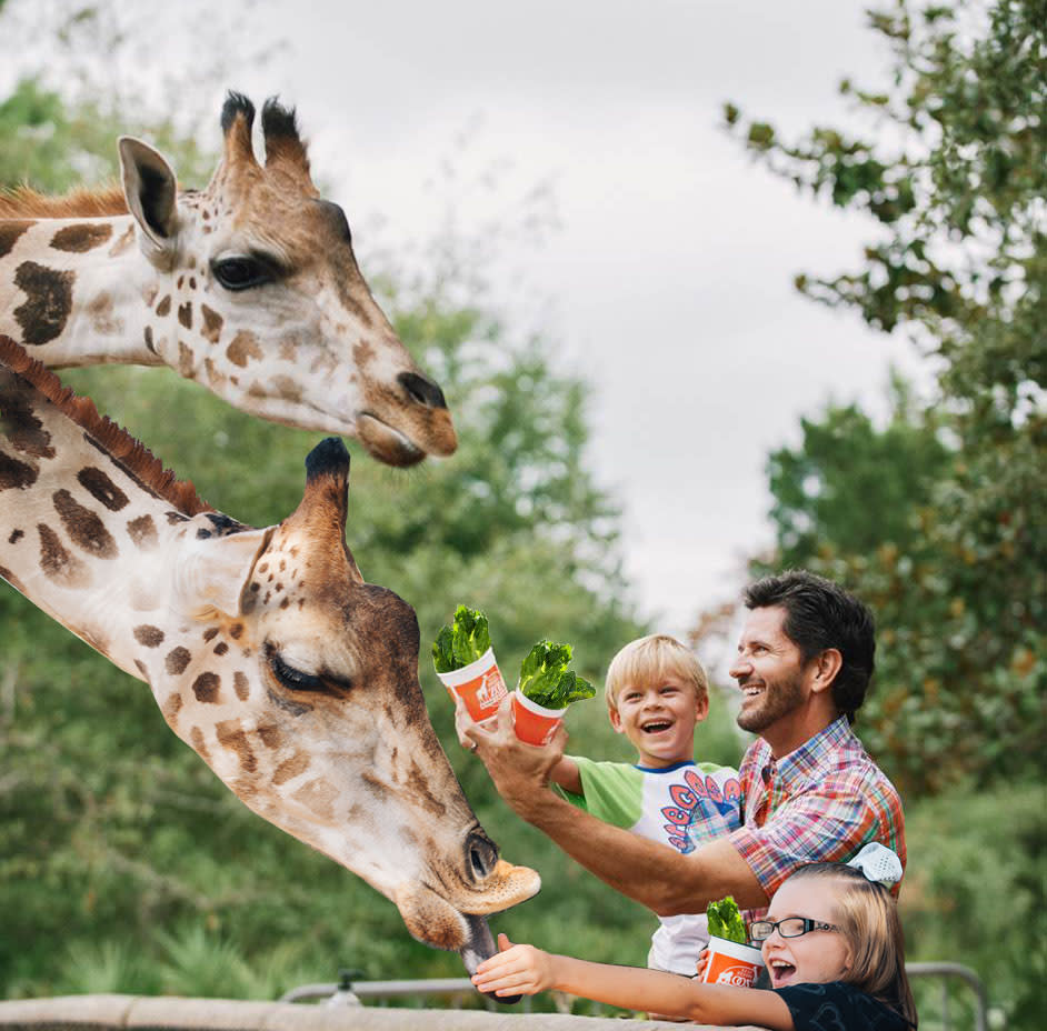 Gulf Breeze Zoo