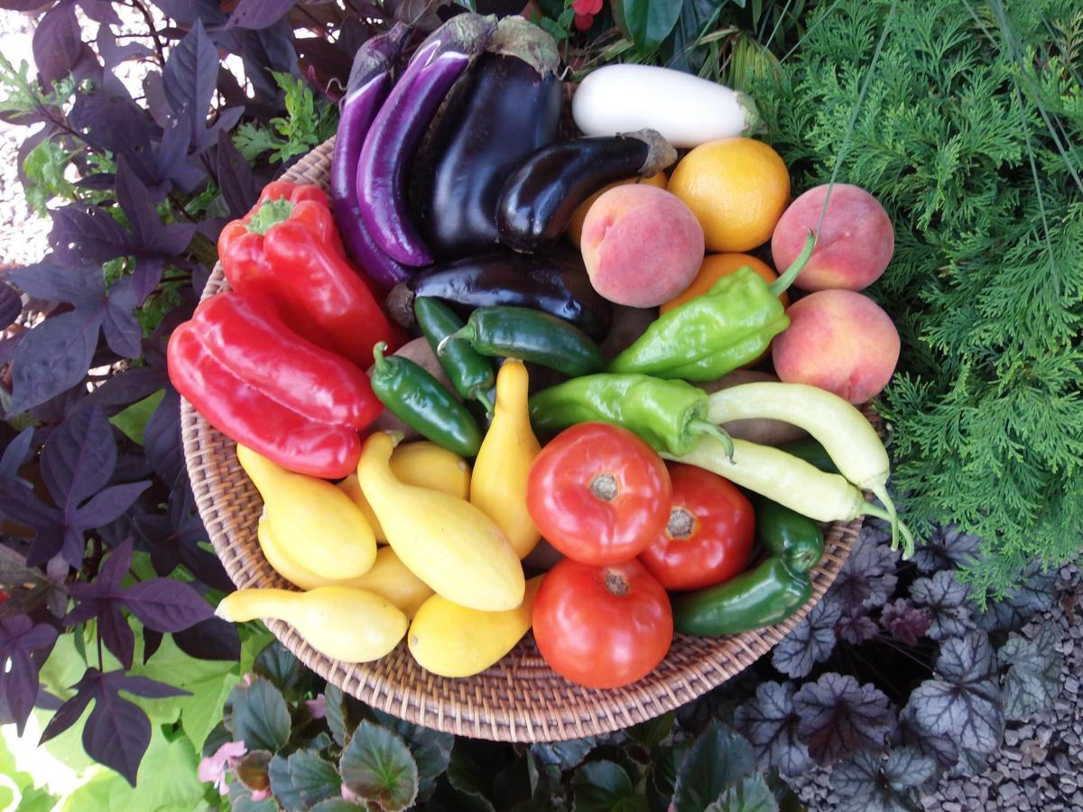 Bailey's Produce and Nursery